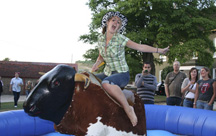 BUCKING BRONCO